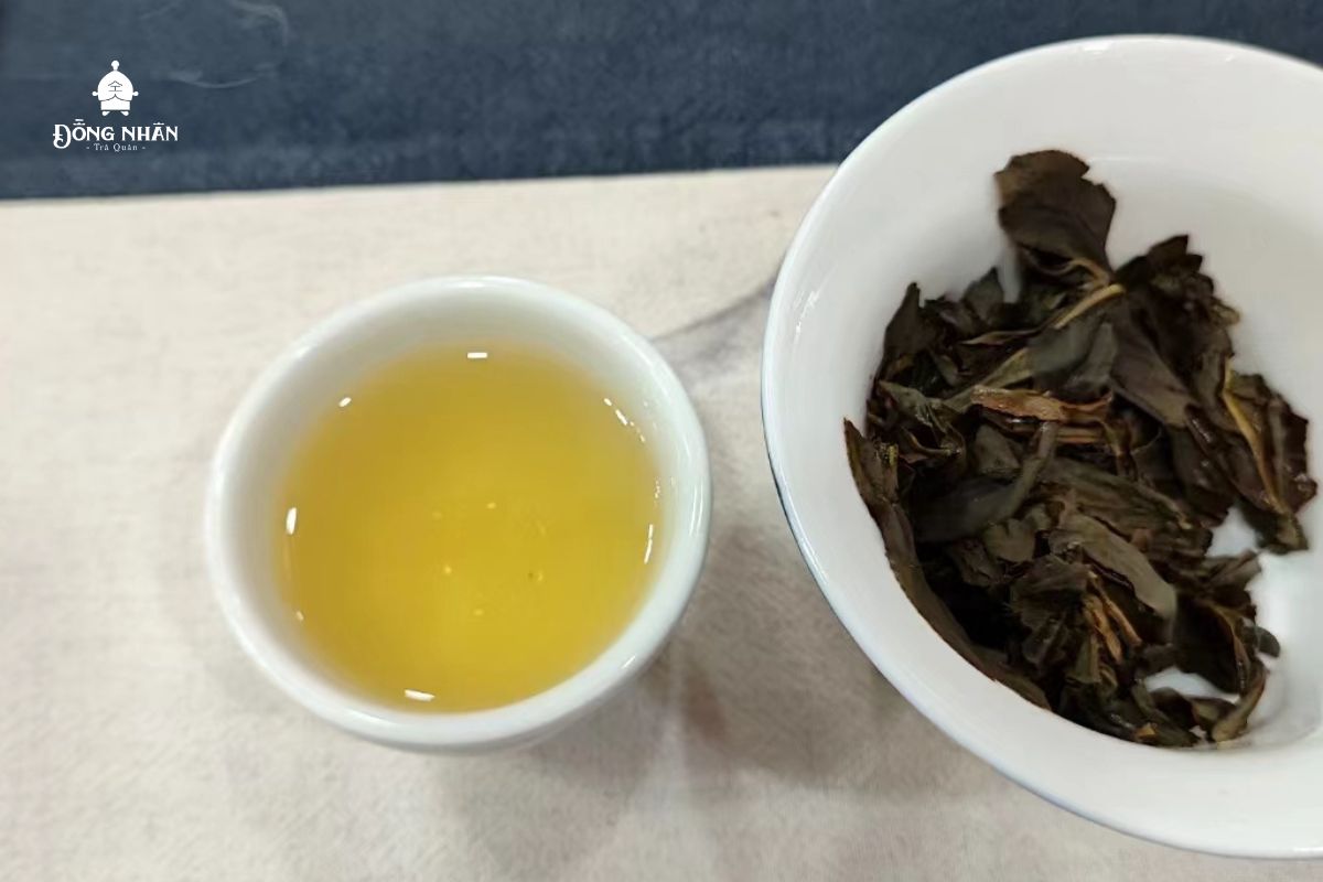 CÔNG DỤNG TUYỆT VỜI CỦA TRÀ BAO CHỦNG